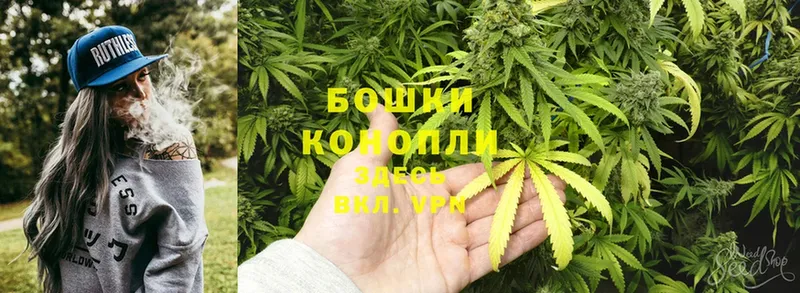 Бошки марихуана THC 21%  Липки 